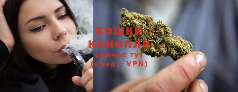 Бошки Шишки White Widow  Беломорск 